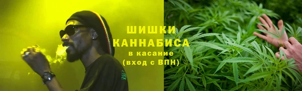 сатива Майский