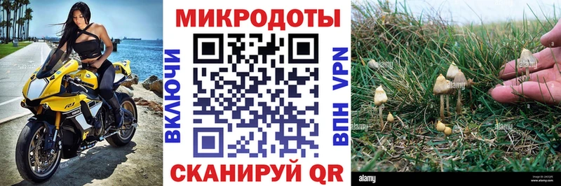 Псилоцибиновые грибы GOLDEN TEACHER  Иланский 